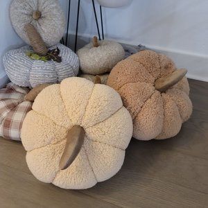 Warm and Cozy NWOT tan and cream plush pumpkin set pillow plush